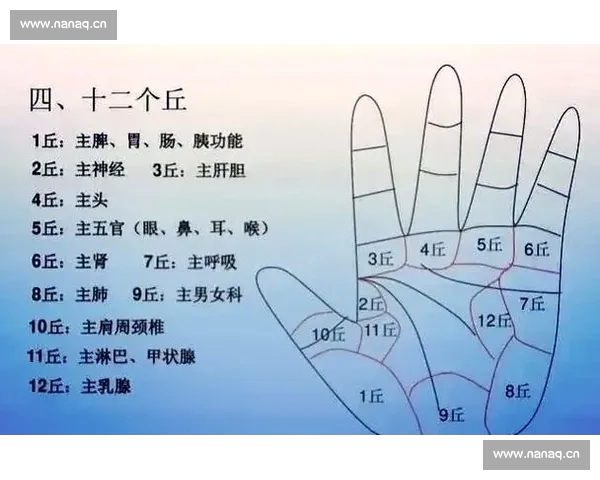 全面解析两队赛季数据对比揭示胜负关键因素 全面解析两队赛季数据对比揭示胜负关键因素