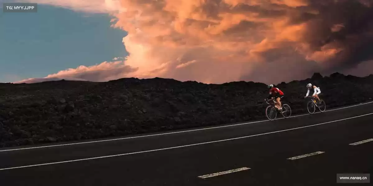 为什么选择我们